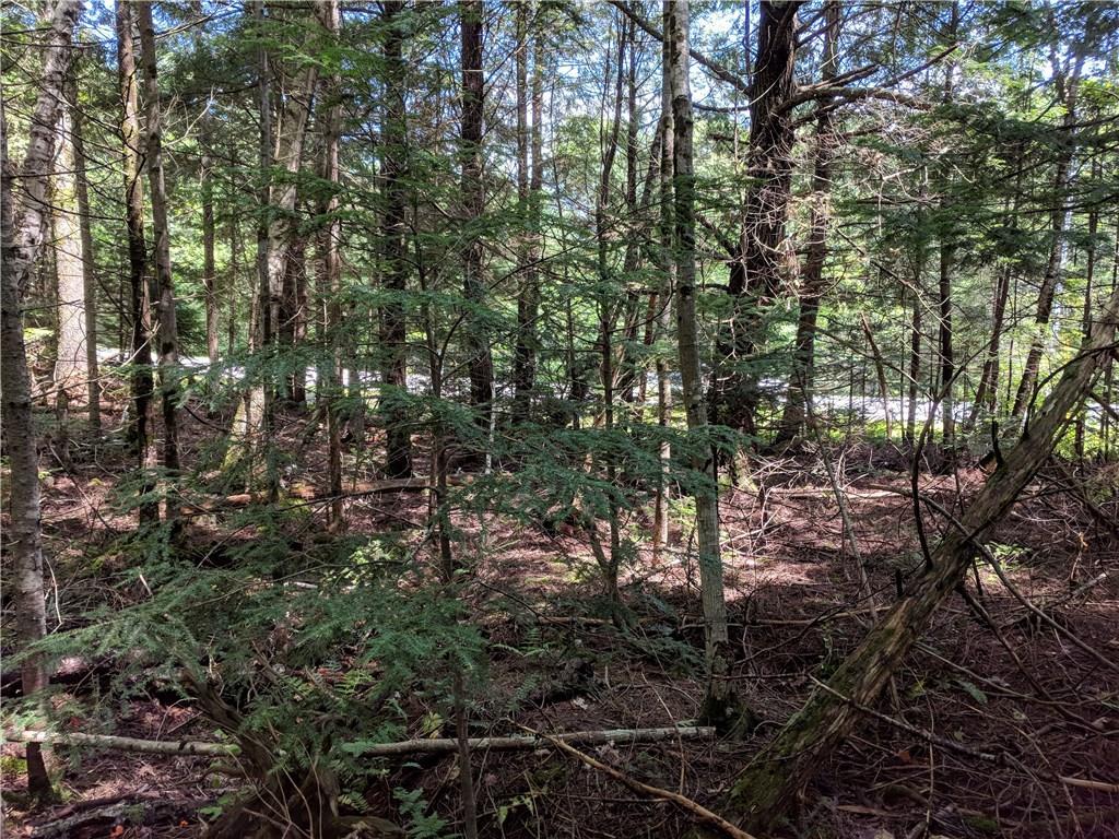 136 Gibbs Road Wiscasset, ME 04578 - Photo 6 of 17 Photo