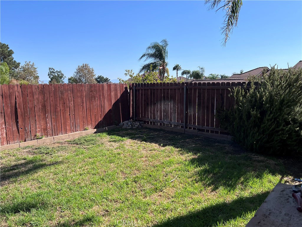 Back yard