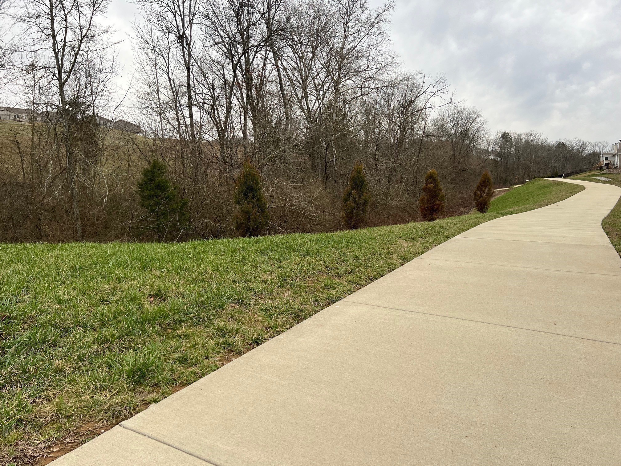 3625 Banner Road Columbia, TN 38401 - Photo 3 of 14 Gallery Image 3