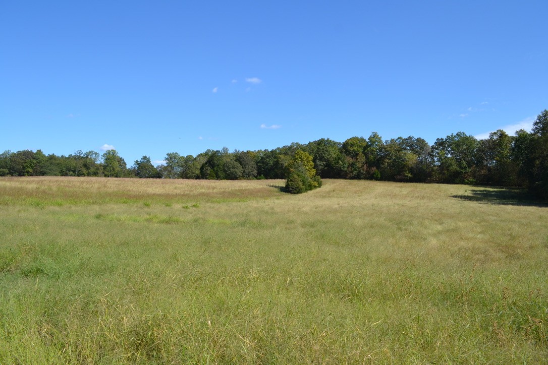 7 Hayes Ridge Road Indian Mound, TN 37079 - Photo 1 of 12 Gallery Image 1