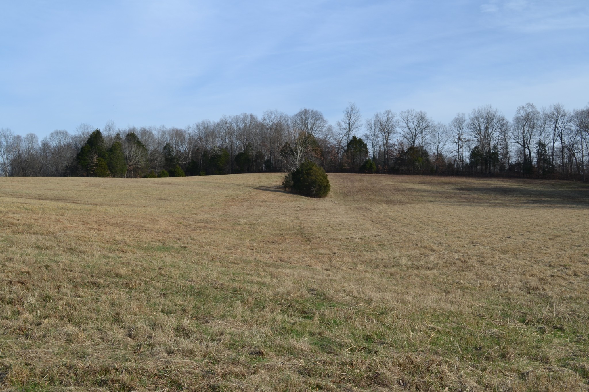 7 Hayes Ridge Road Indian Mound, TN 37079 - Photo 11 of 12 Gallery Image 11