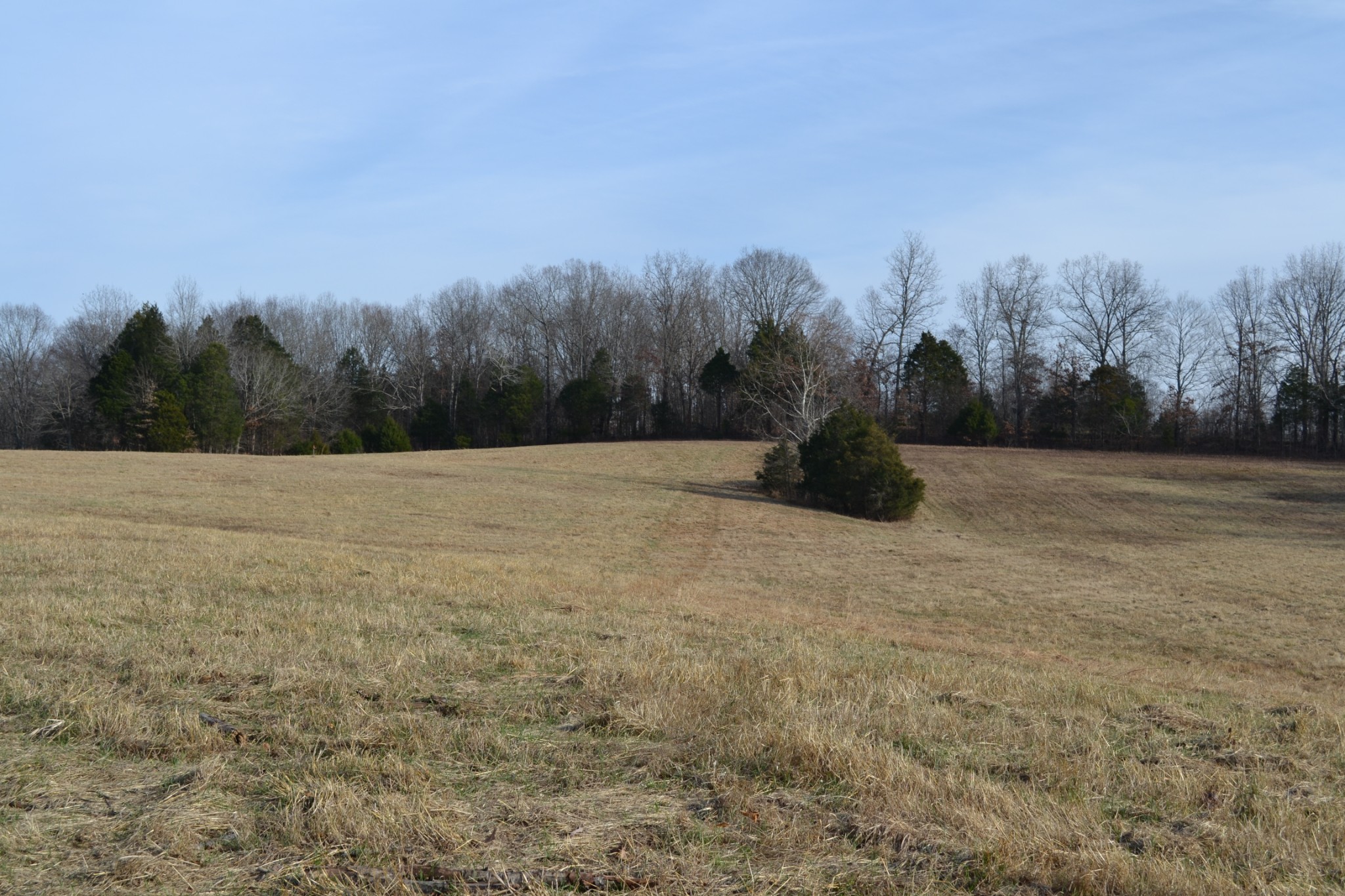 7 Hayes Ridge Road Indian Mound, TN 37079 - Photo 12 of 12 Gallery Image 12