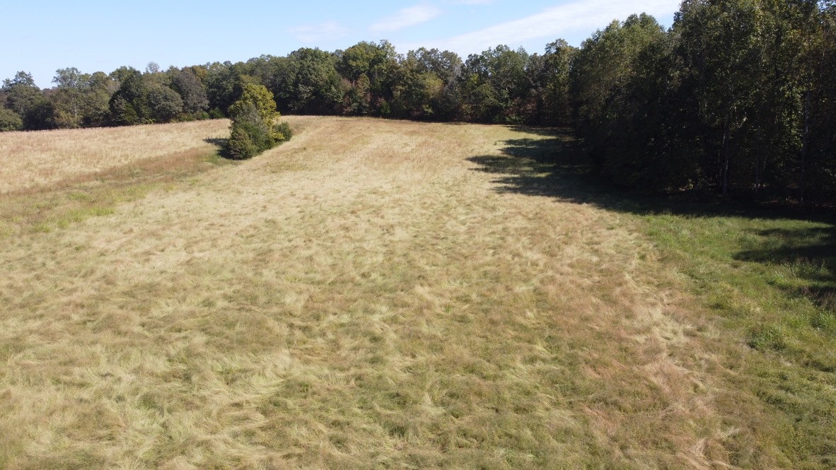 7 Hayes Ridge Road Indian Mound, TN 37079 - Photo 3 of 12 Gallery Image 3