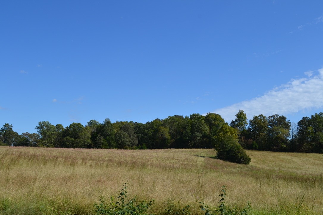7 Hayes Ridge Road Indian Mound, TN 37079 - Photo 5 of 12 Gallery Image 5