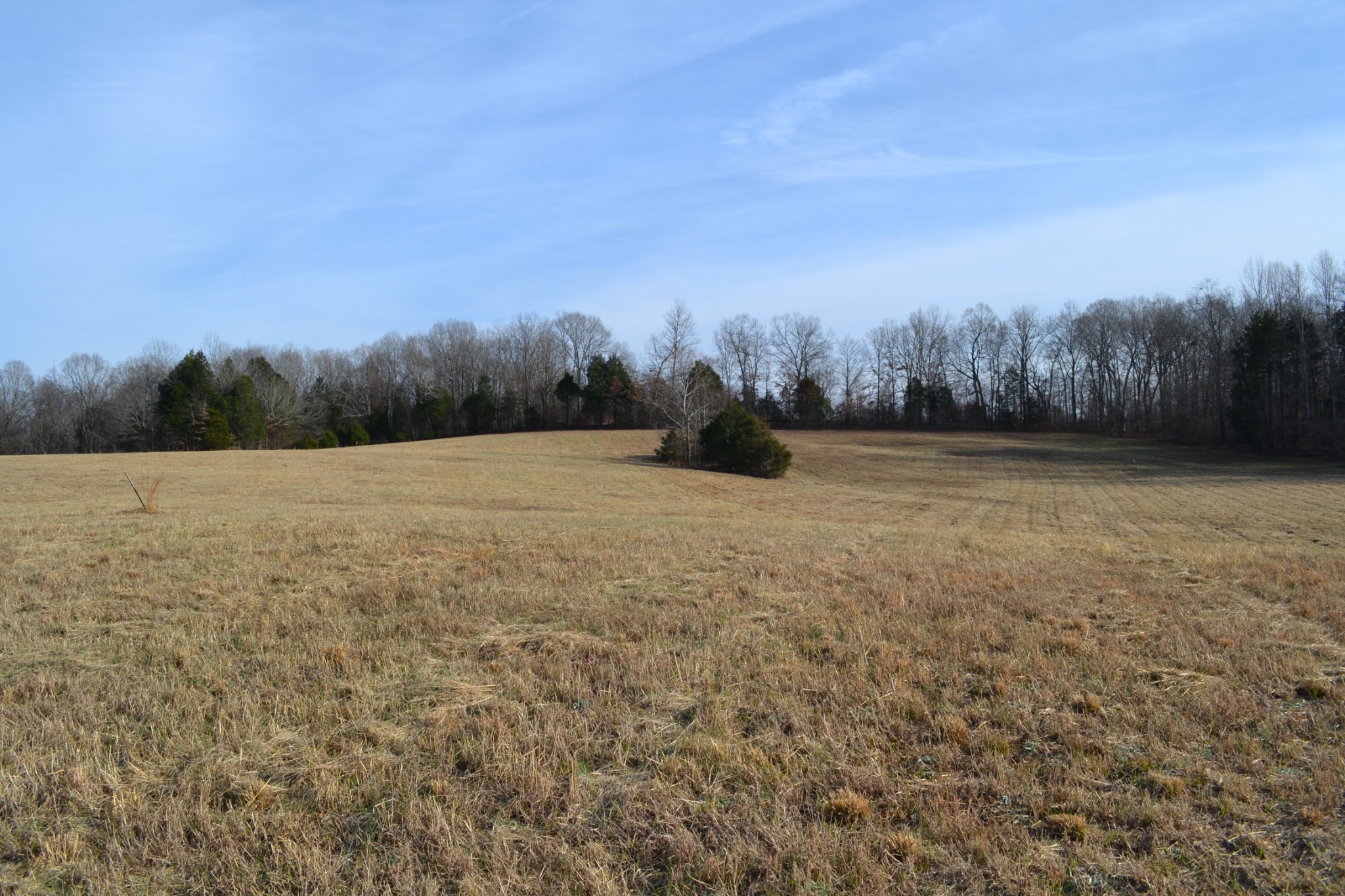 7 Hayes Ridge Road Indian Mound, TN 37079 - Photo 8 of 12 Gallery Image 8