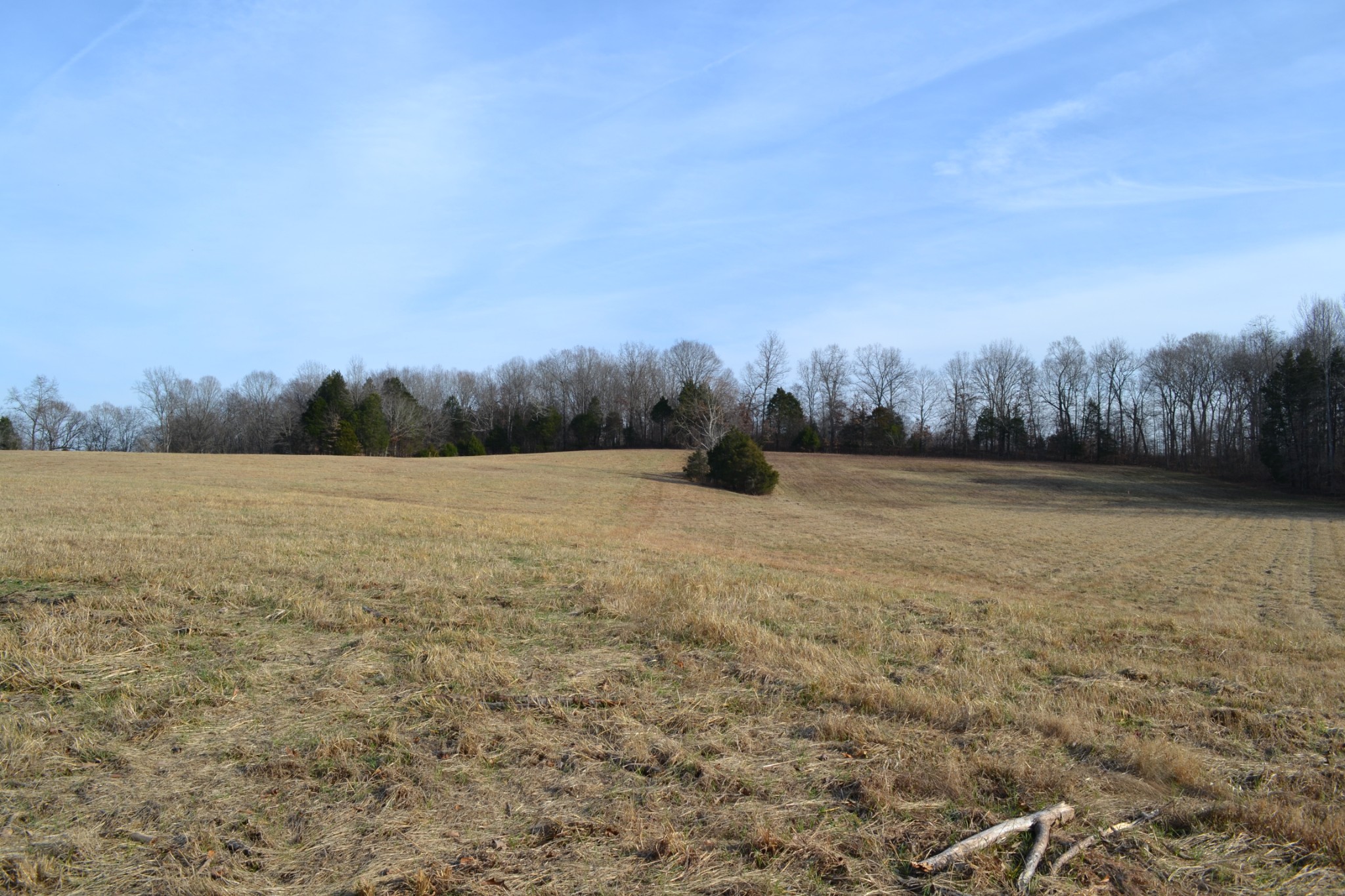 7 Hayes Ridge Road Indian Mound, TN 37079 - Photo 9 of 12 Gallery Image 9