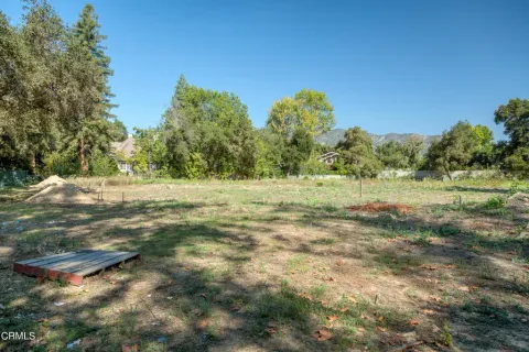 a view of a field with trees in the background