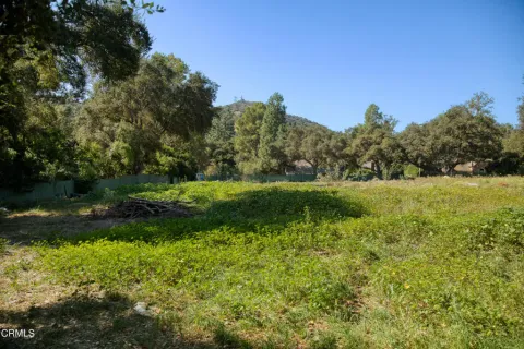 a view of an outdoor space and a yard