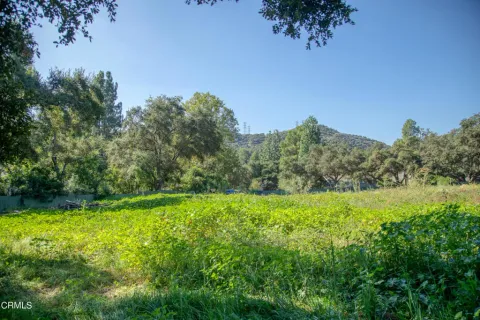 a view of grassy field with trees in the background