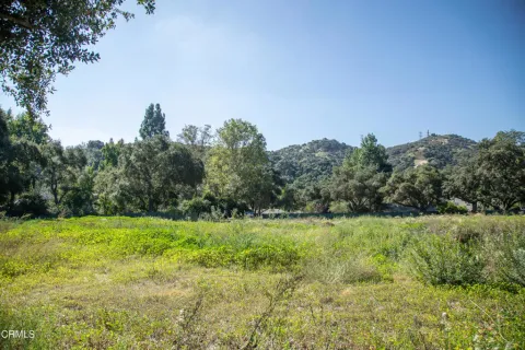 a view of field with trees in the background