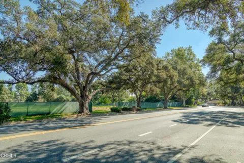 a view of a tree in front of a house