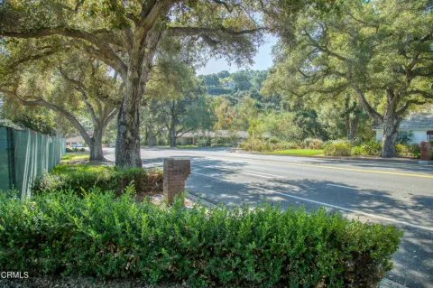 a backyard of a house with lots of green space and trees