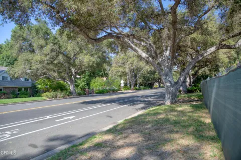 a view of a yard with large trees
