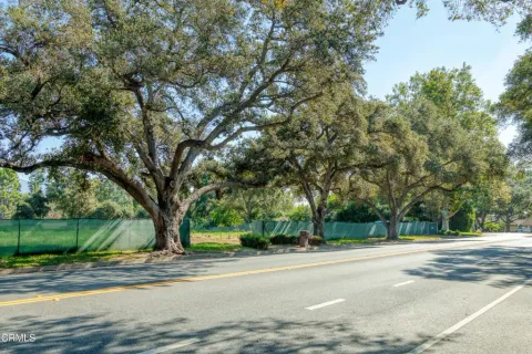 a view of a trees with a yard