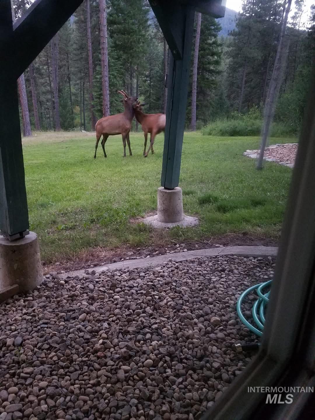 24 Shady Lane Garden Valley, ID 83622 - Photo 26 of 37