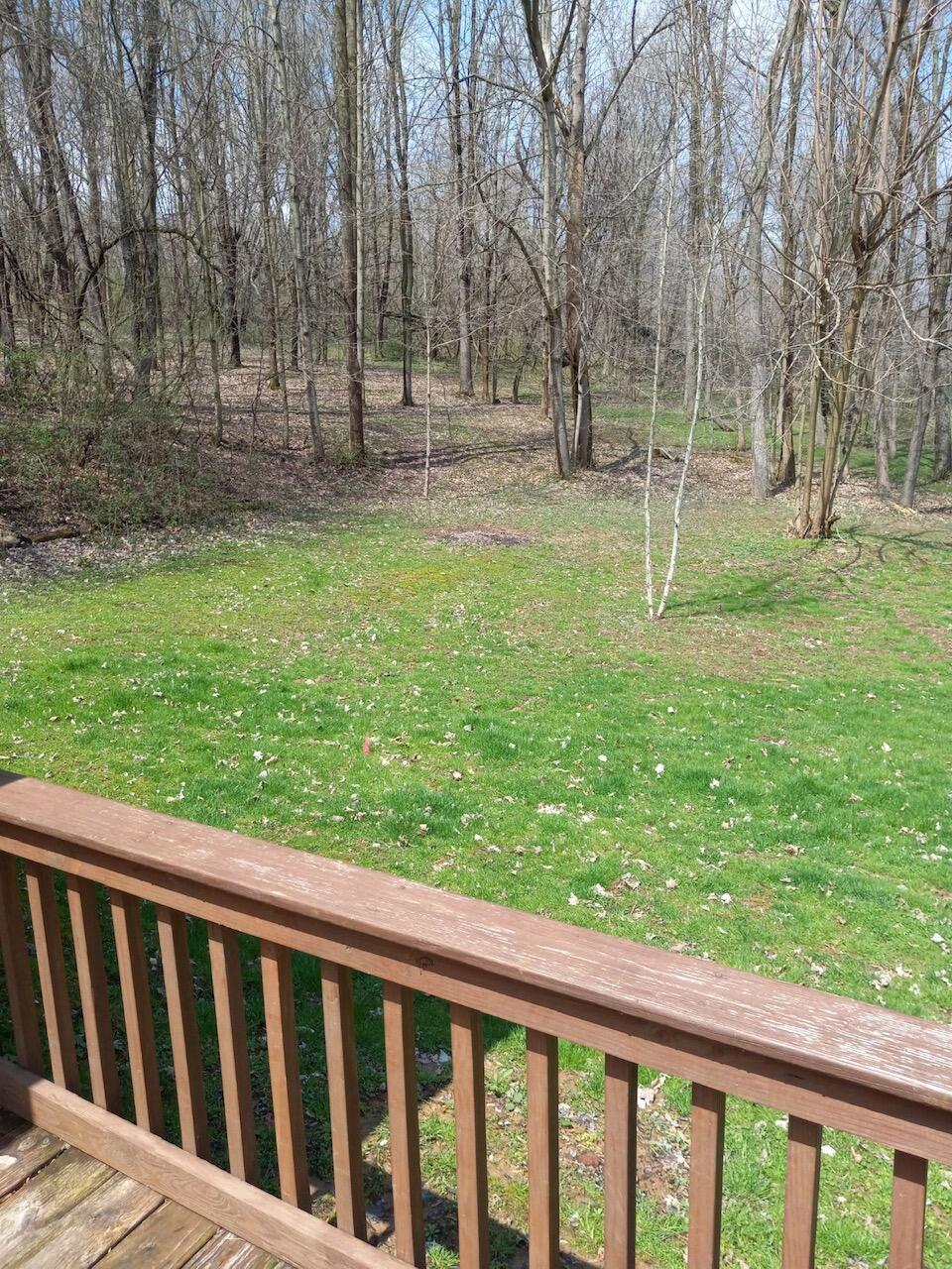 16291 Rinehart Road Mount Vernon, OH 43050 - Photo 25 of 28 view from side deck r