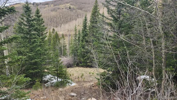 $24,900 | 6435 Bronfman Road, San Luis, CO 81152