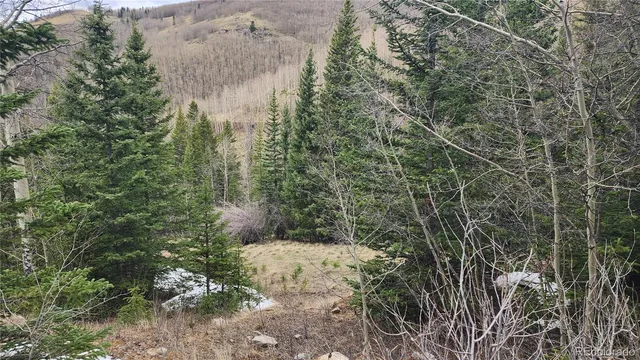 $24,900 | 6435 Bronfman Road, San Luis, CO 81152