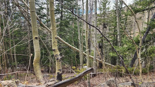 $24,900 | 6435 Bronfman Road, San Luis, CO 81152
