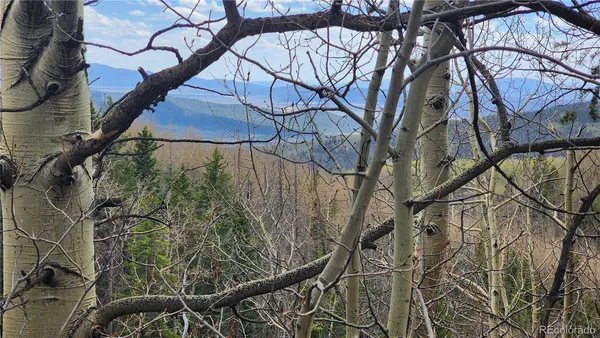 $24,900 | 6435 Bronfman Road, San Luis, CO 81152