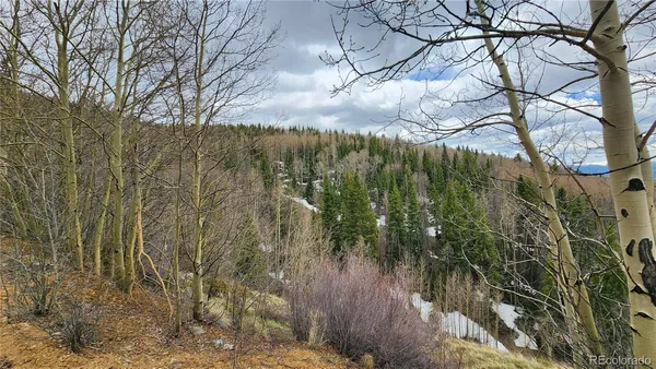 $24,900 | 6435 Bronfman Road, San Luis, CO 81152