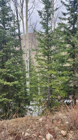 $24,900 | 6435 Bronfman Road, San Luis, CO 81152