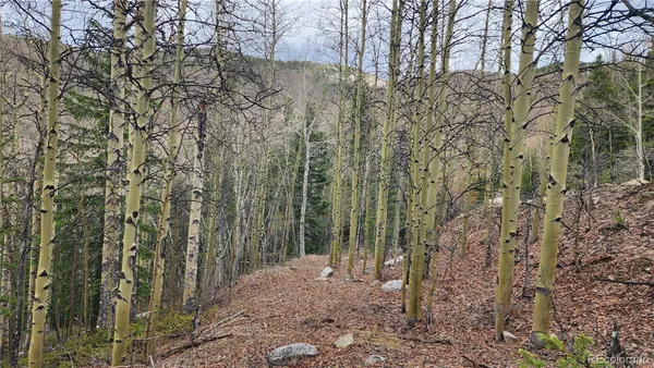 $24,900 | 6435 Bronfman Road, San Luis, CO 81152