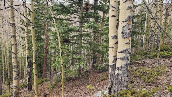 $24,900 | 6435 Bronfman Road, San Luis, CO 81152