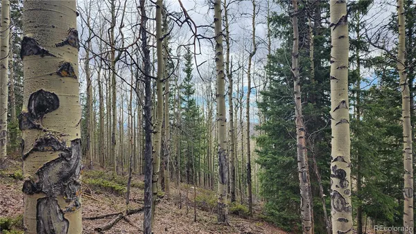 $24,900 | 6435 Bronfman Road, San Luis, CO 81152