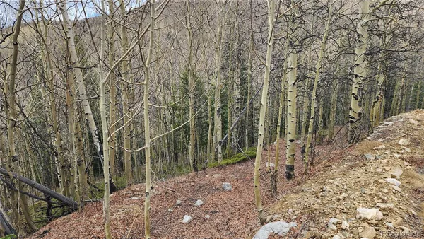 $24,900 | 6435 Bronfman Road, San Luis, CO 81152
