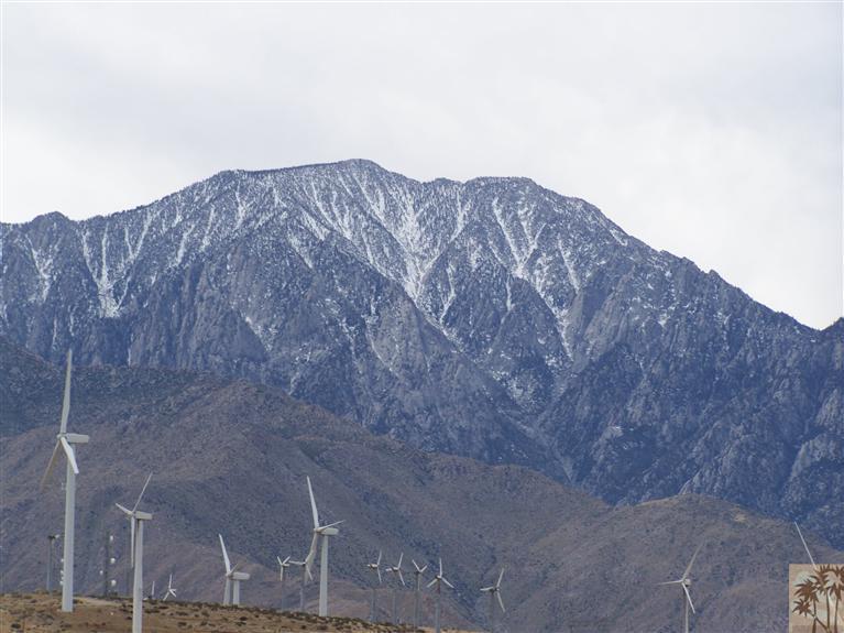 15303 Country View Road Whitewater, CA 92282 - Photo 22 of 25 a view of a dry yard with mountains in the background