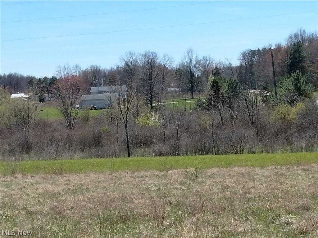 Bedell Road Berlin Center, OH 44401 - Photo 15 of 15 View of mother earth's splendor