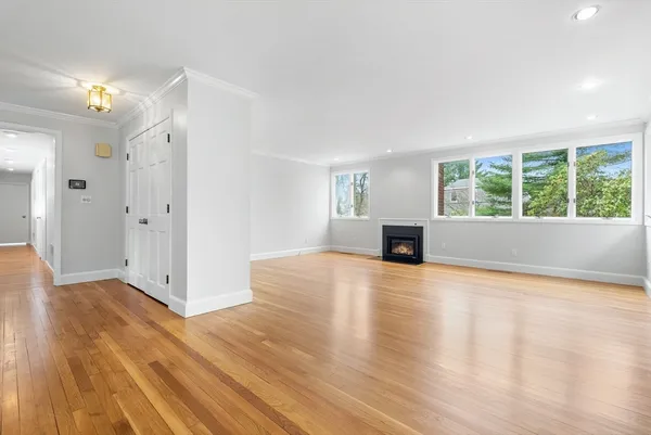 a view of yard with tree s