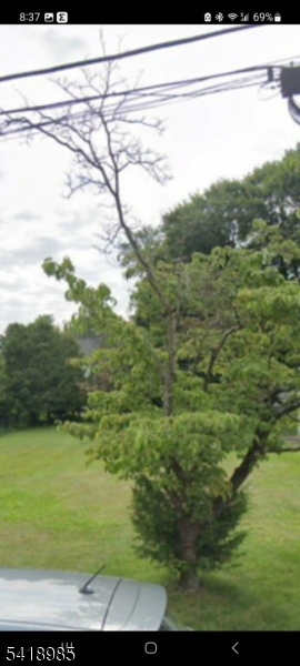 20 Valley Road Denville, NJ 07834 - Photo 3 of 3