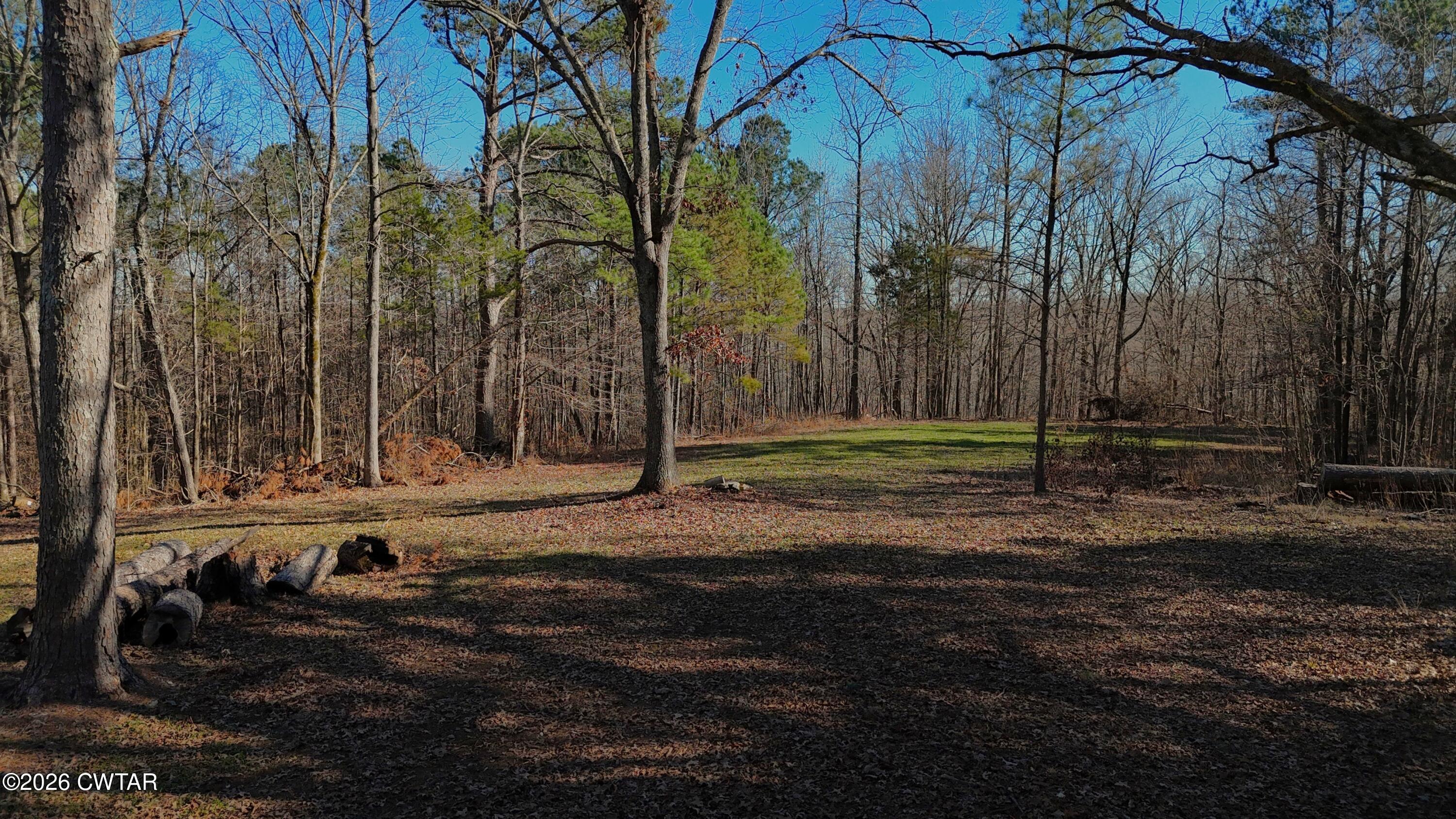 0 Buggy Branch Lane Cedar Grove, TN 38321 - Photo 1 of 42 a view of a backyard