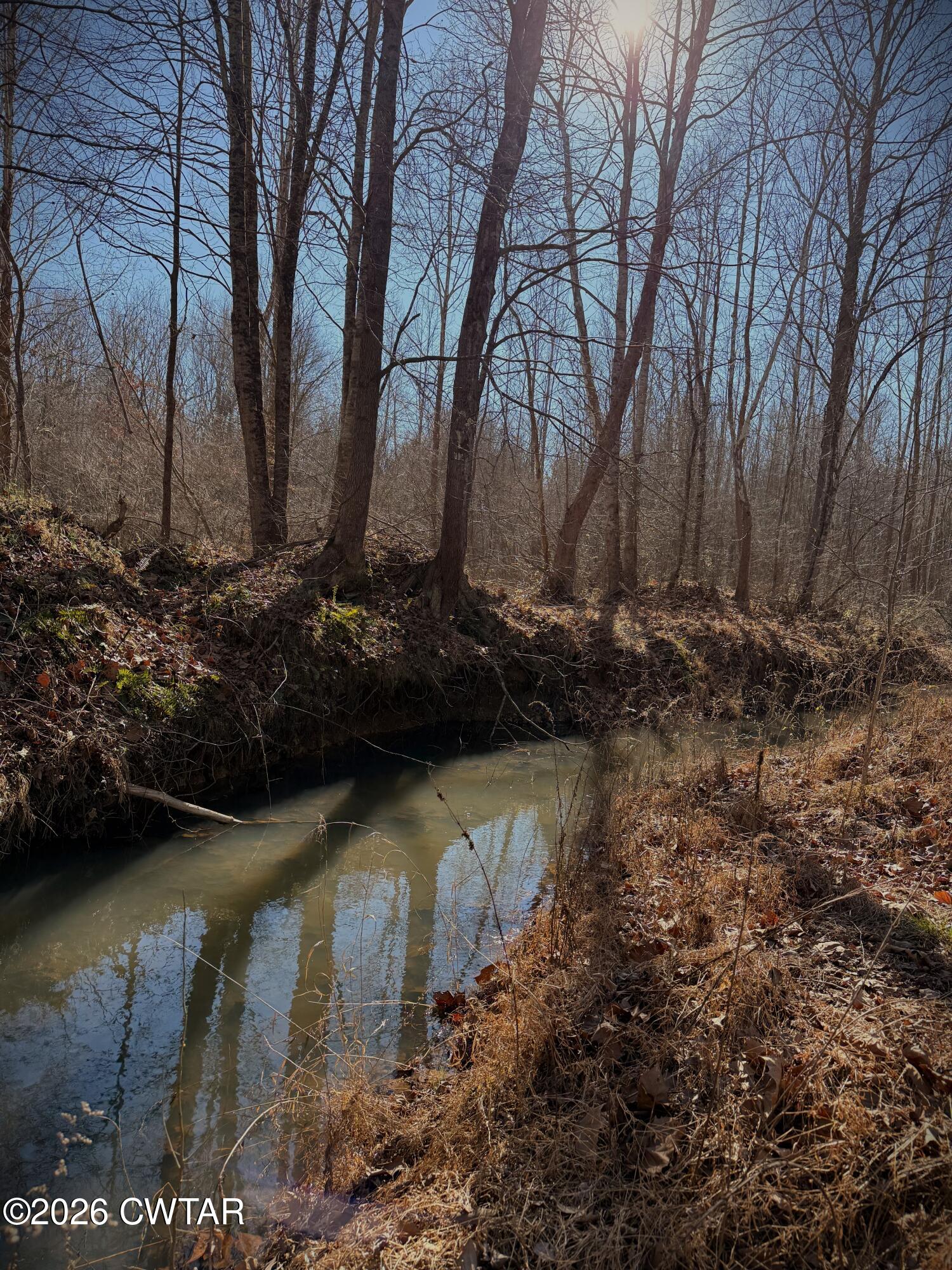 0 Buggy Branch Lane Cedar Grove, TN 38321 - Photo 12 of 42 a view of a lake with large trees