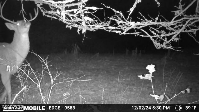 0 Buggy Branch Lane Cedar Grove, TN 38321 - Photo 13 of 42 a view of a interior of the house