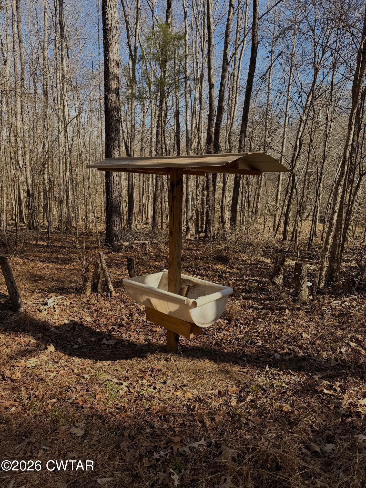 0 Buggy Branch Lane Cedar Grove, TN 38321 - Photo 18 of 42 a view of outdoor space with seating area