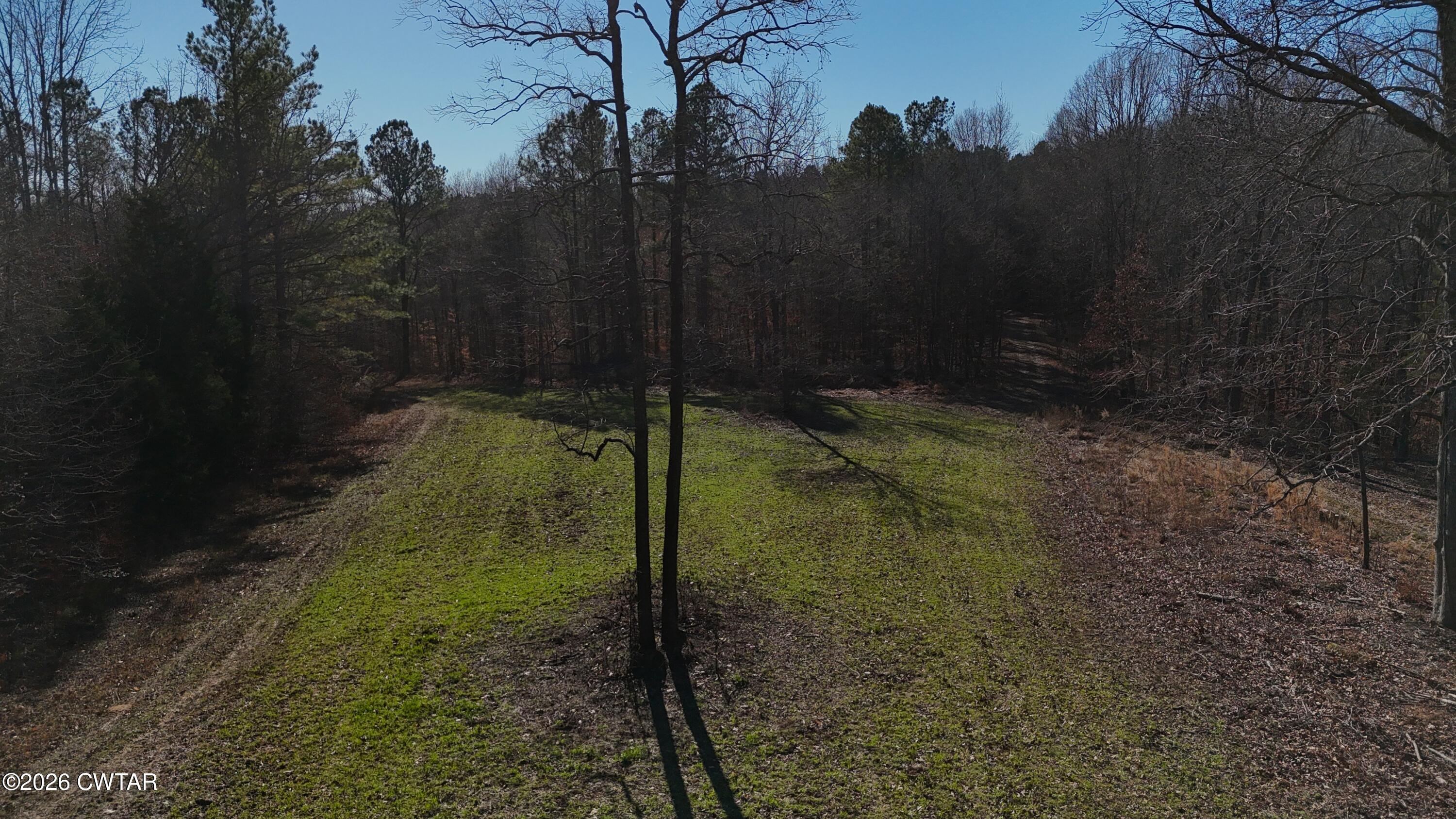 0 Buggy Branch Lane Cedar Grove, TN 38321 - Photo 20 of 42 a bathroom with a shower