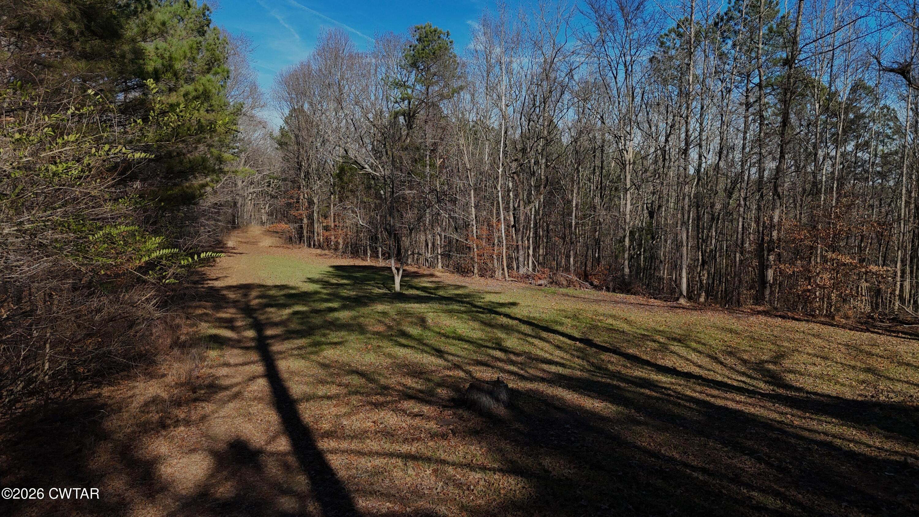 0 Buggy Branch Lane Cedar Grove, TN 38321 - Photo 21 of 42 a view of a backyard of a house