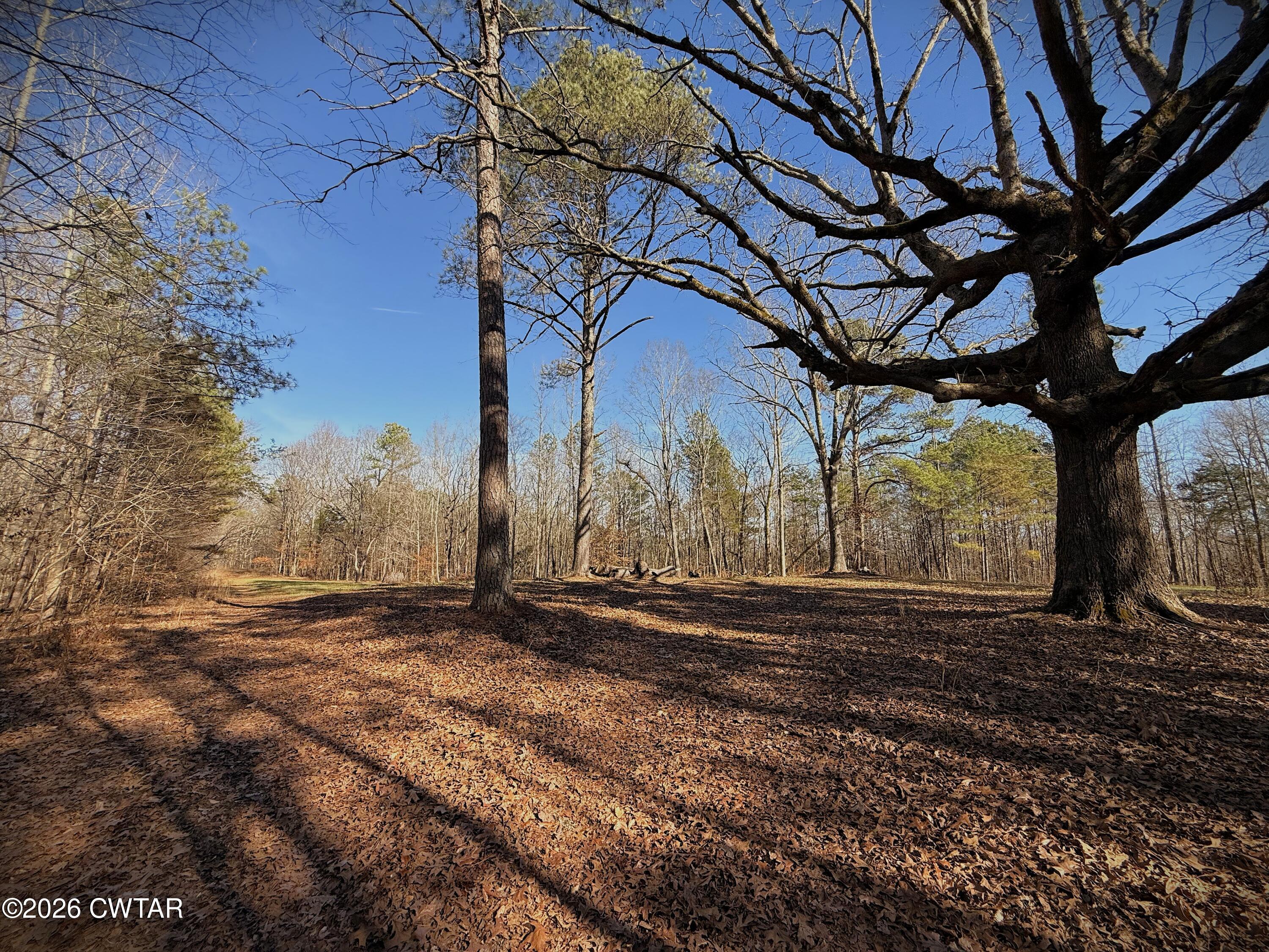 0 Buggy Branch Lane Cedar Grove, TN 38321 - Photo 23 of 42 a backyard of a house