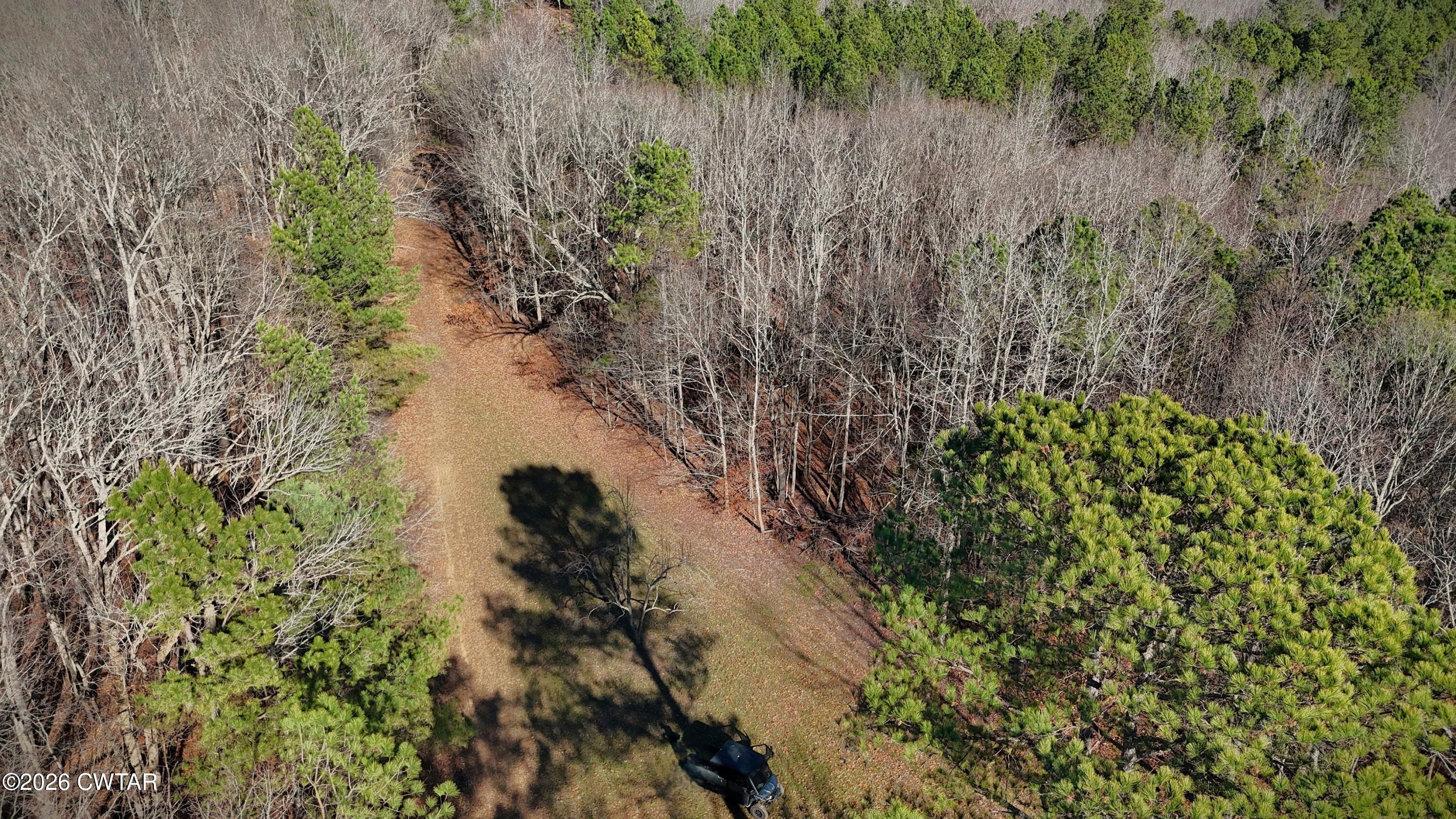 0 Buggy Branch Lane Cedar Grove, TN 38321 - Photo 25 of 42 a view of a lush green field