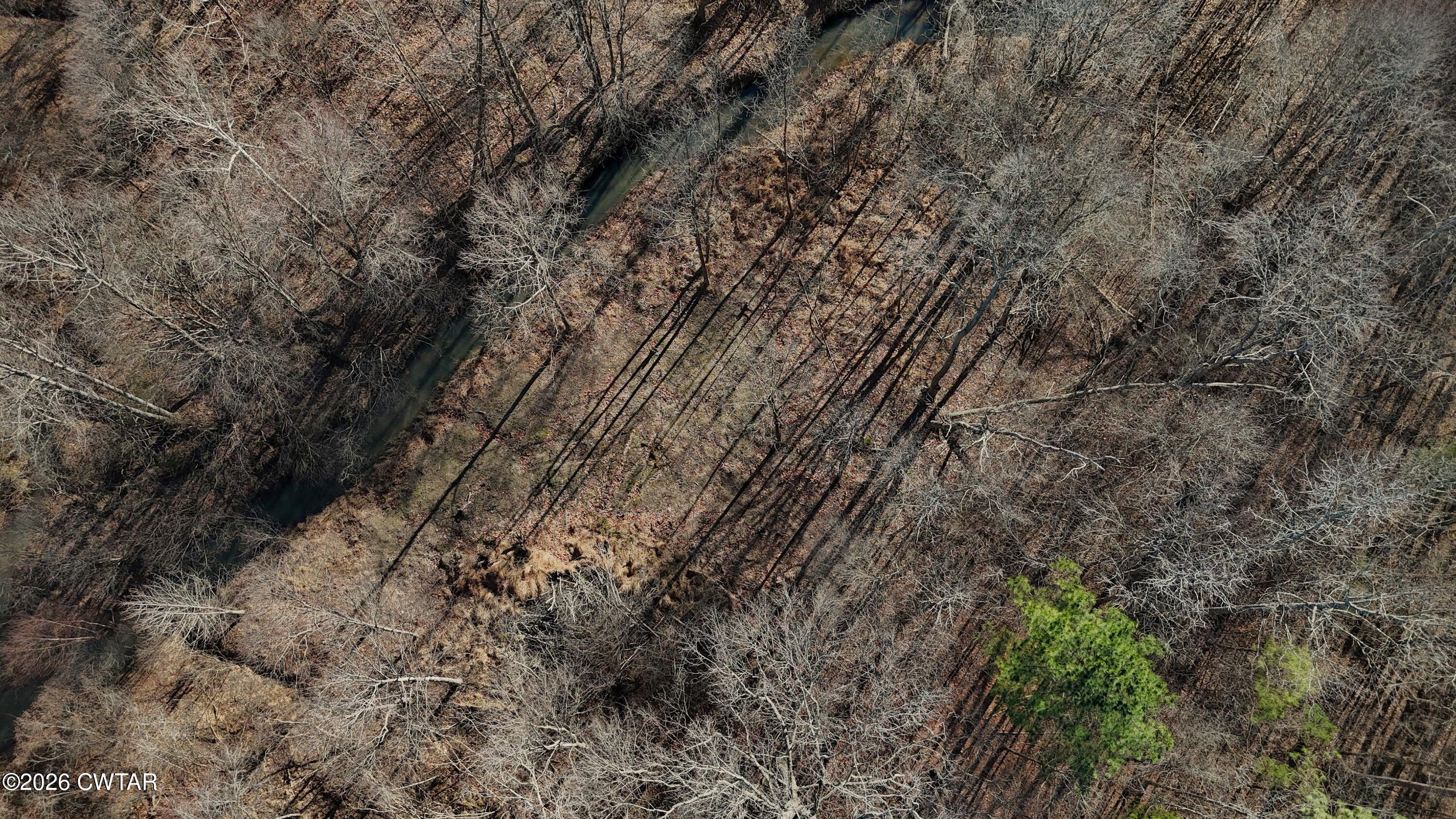 0 Buggy Branch Lane Cedar Grove, TN 38321 - Photo 26 of 42