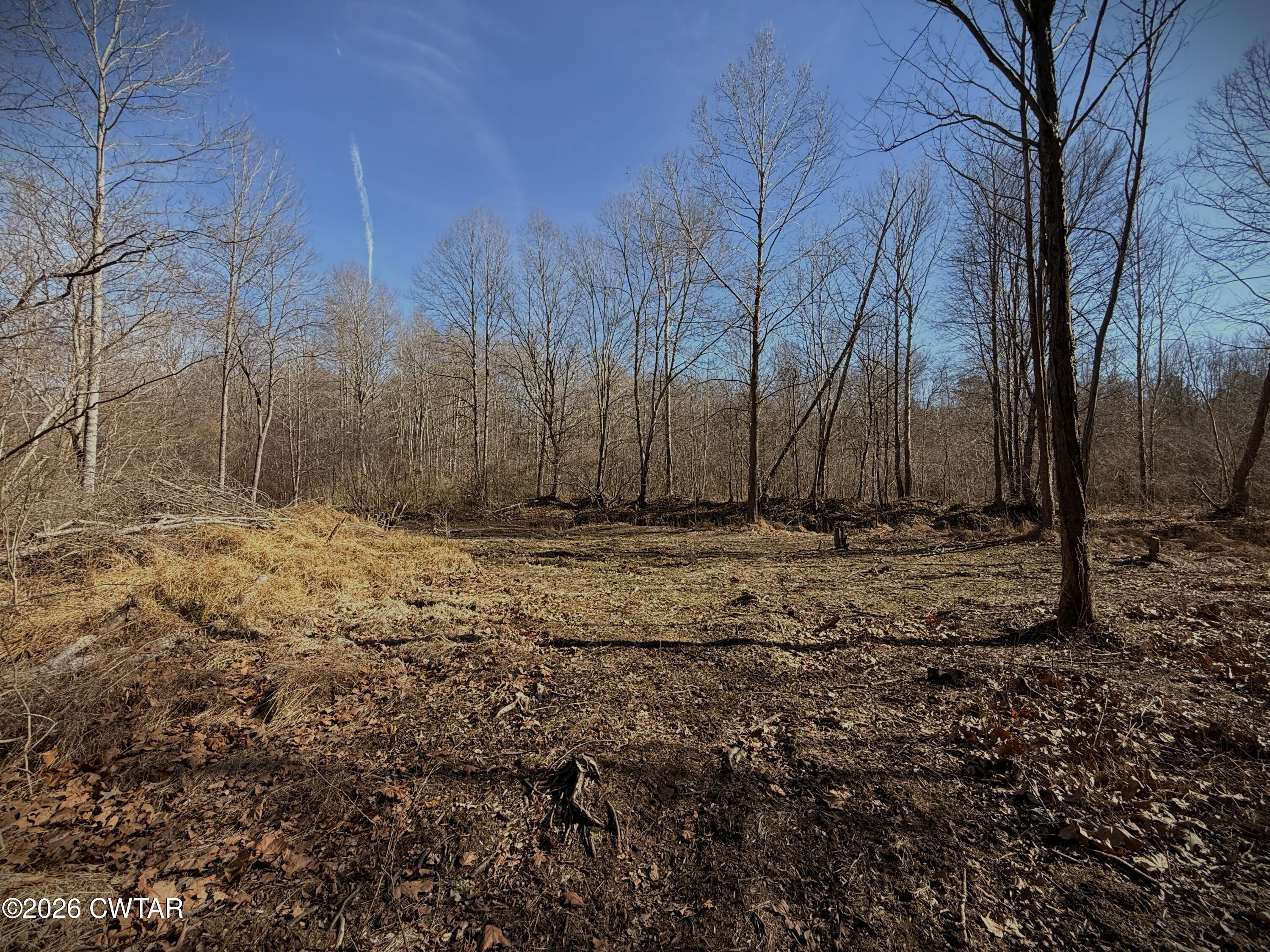 0 Buggy Branch Lane Cedar Grove, TN 38321 - Photo 27 of 42 a view of large yard