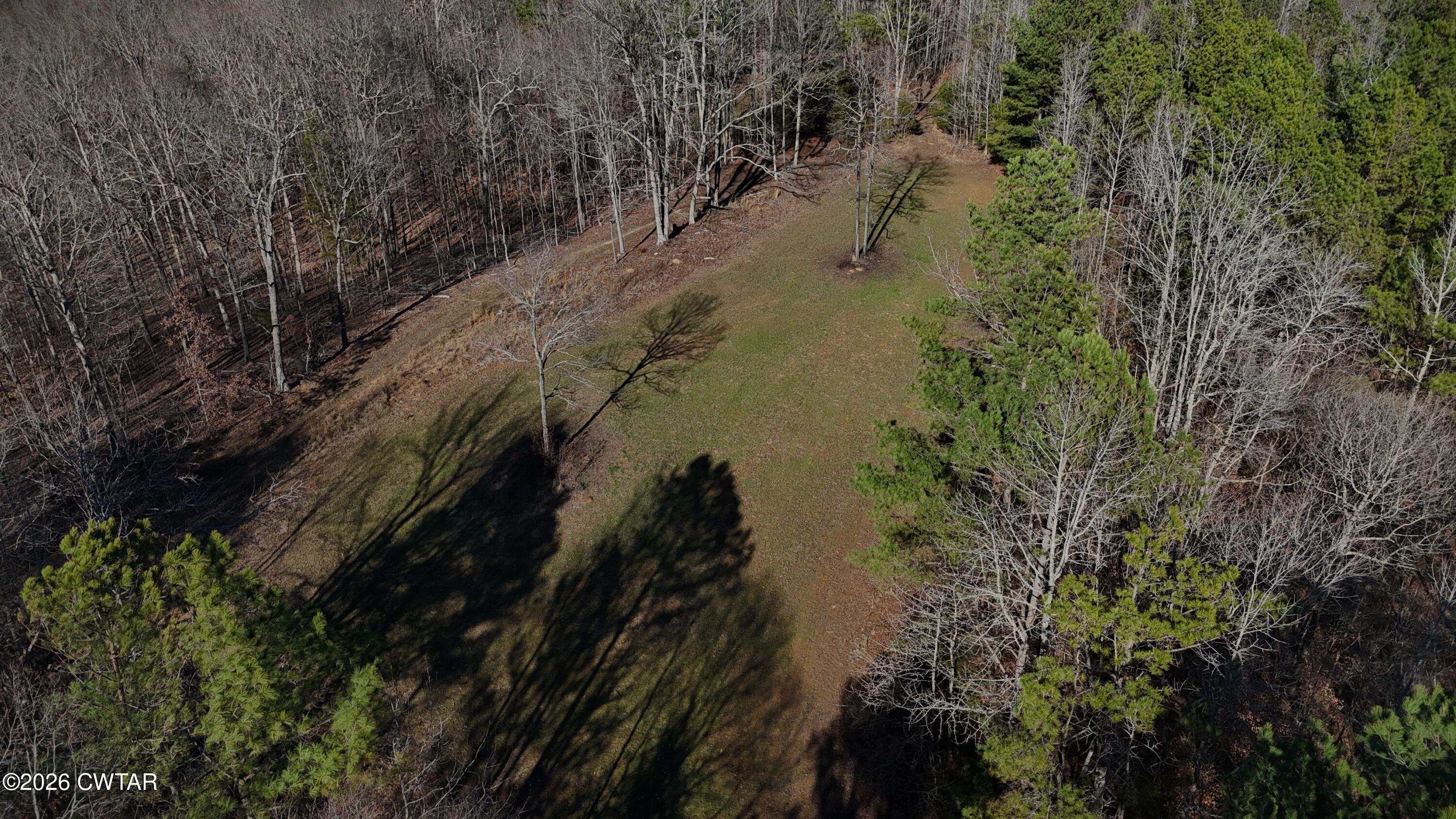 0 Buggy Branch Lane Cedar Grove, TN 38321 - Photo 28 of 42 a view of a lake in between two trees