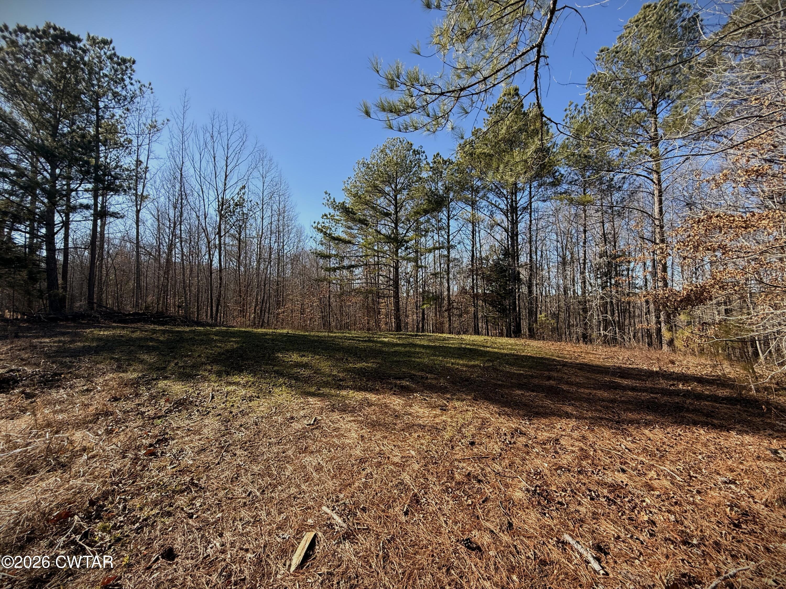 0 Buggy Branch Lane Cedar Grove, TN 38321 - Photo 29 of 42 a view of a yard