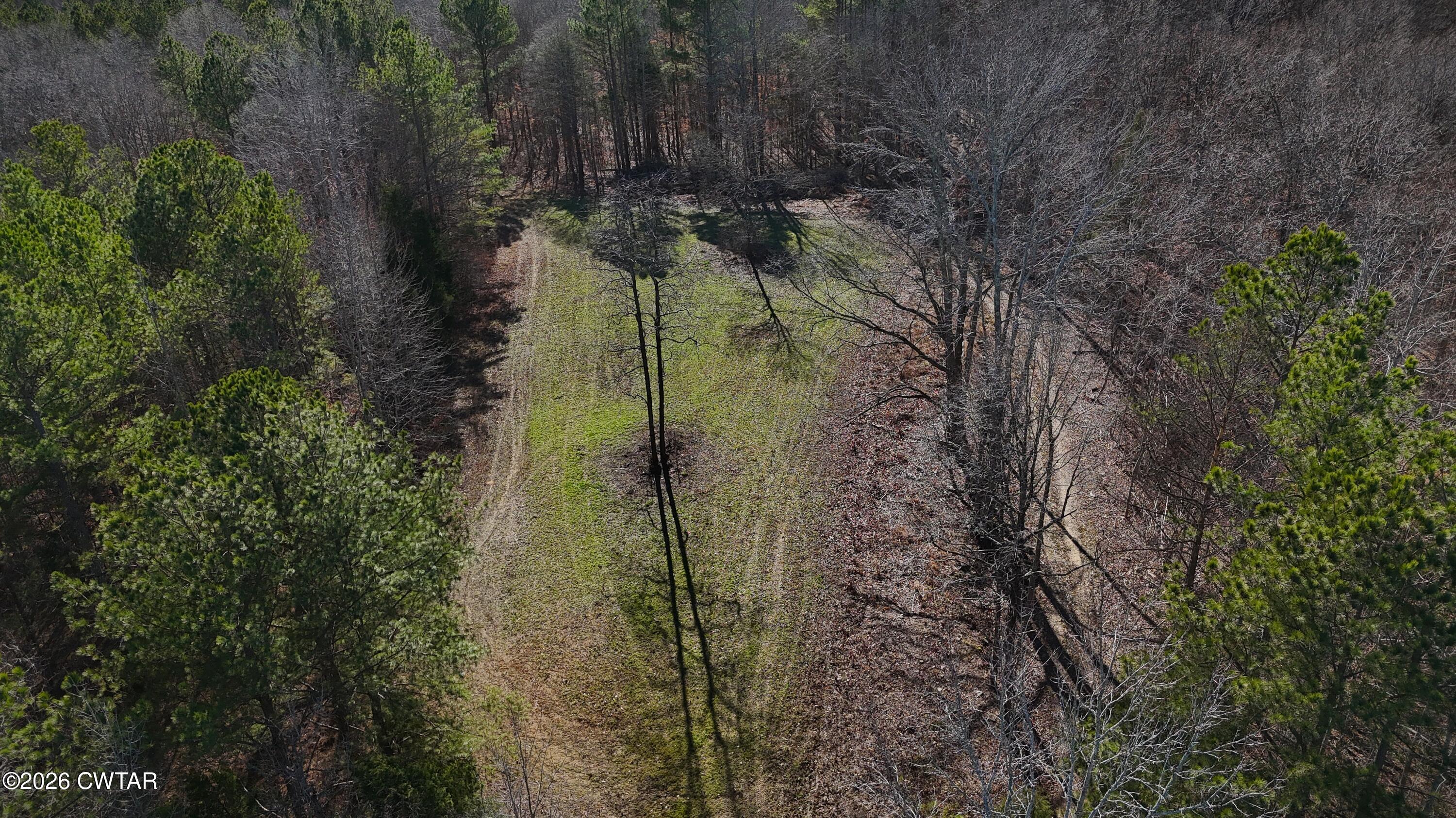 0 Buggy Branch Lane Cedar Grove, TN 38321 - Photo 30 of 42 a map view of location