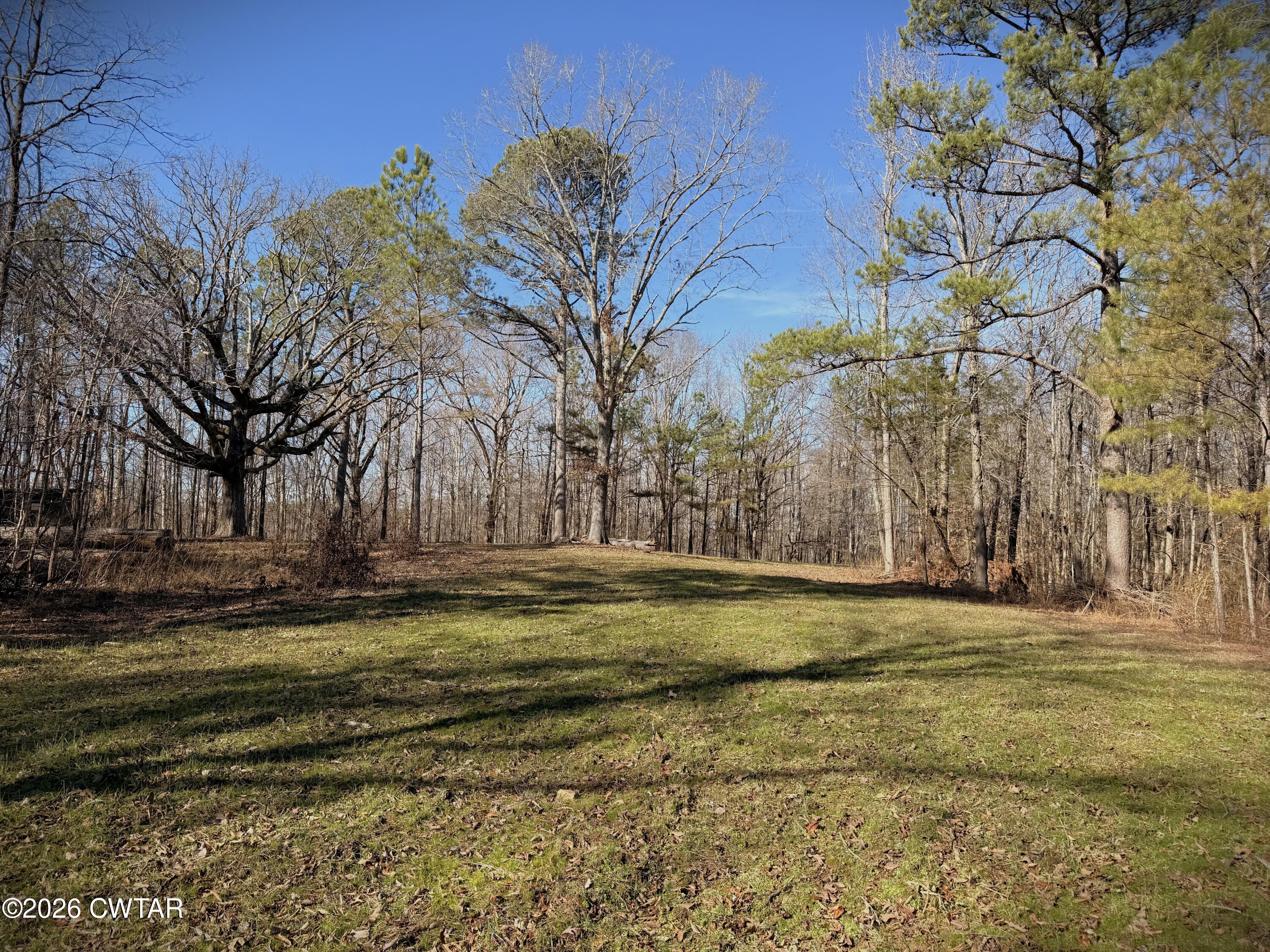 0 Buggy Branch Lane Cedar Grove, TN 38321 - Photo 32 of 42 a view of a yard with large trees