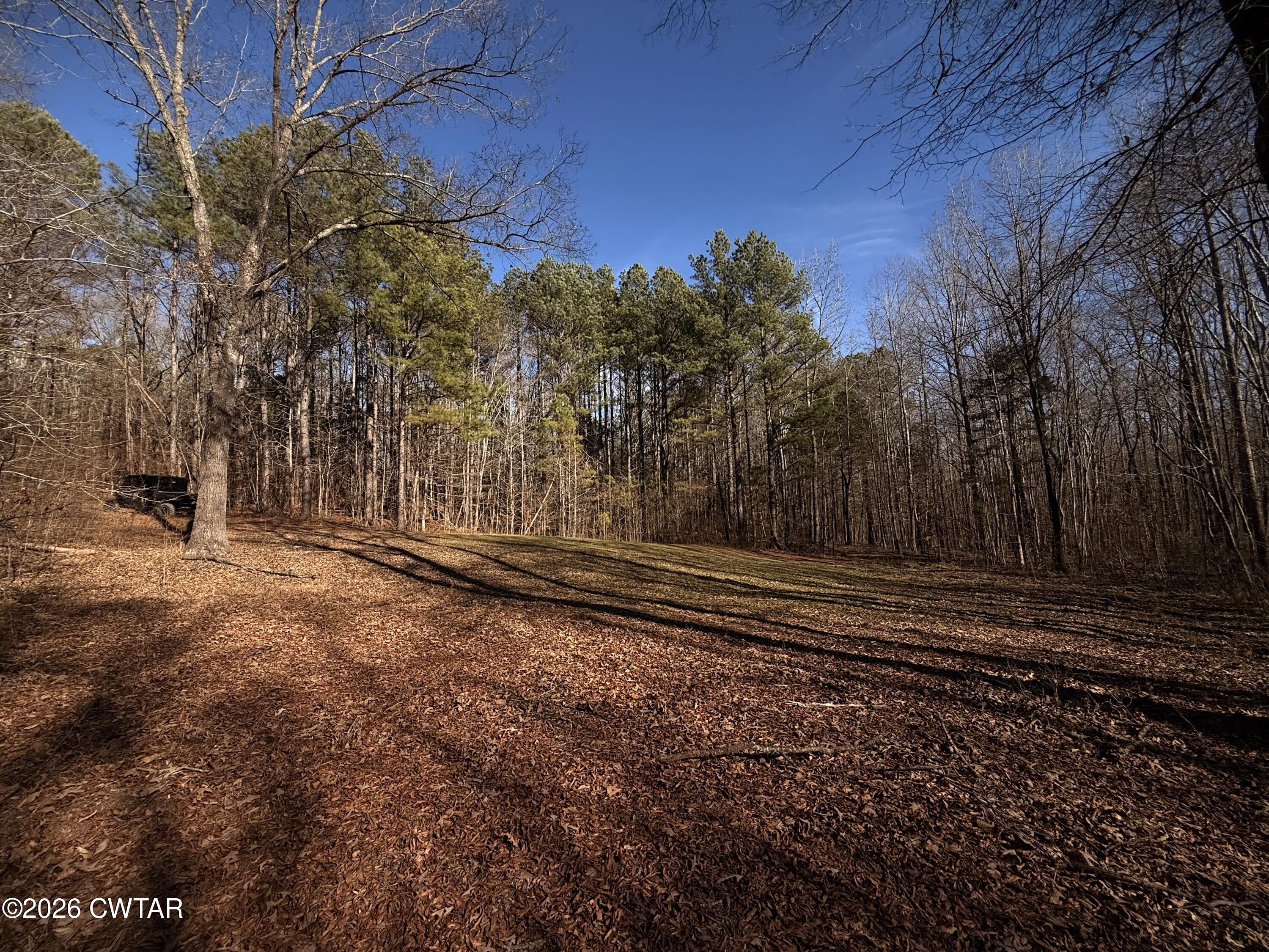 0 Buggy Branch Lane Cedar Grove, TN 38321 - Photo 33 of 42 a view of a yard with wooden fence