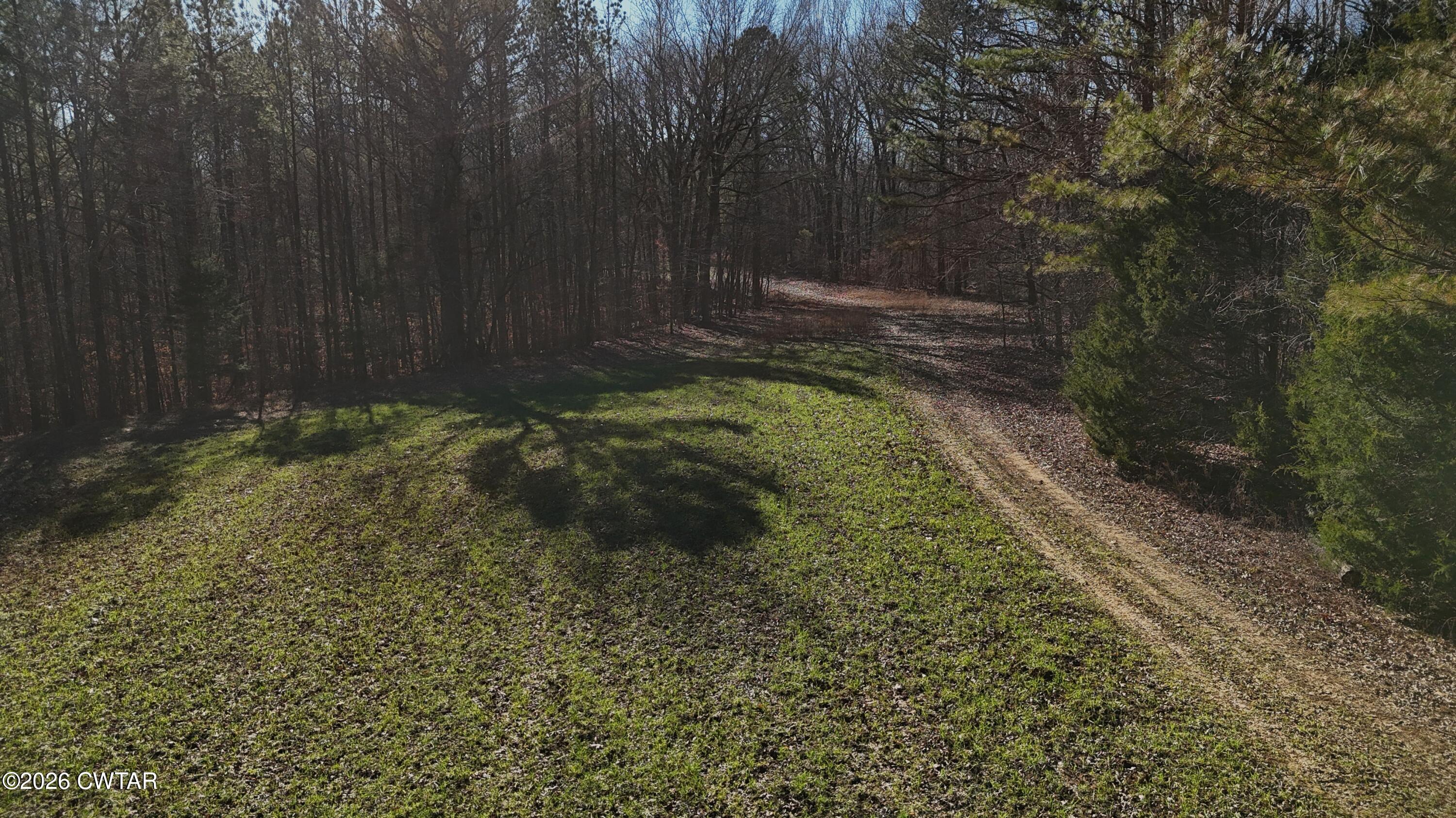 0 Buggy Branch Lane Cedar Grove, TN 38321 - Photo 34 of 42 a view of a yard